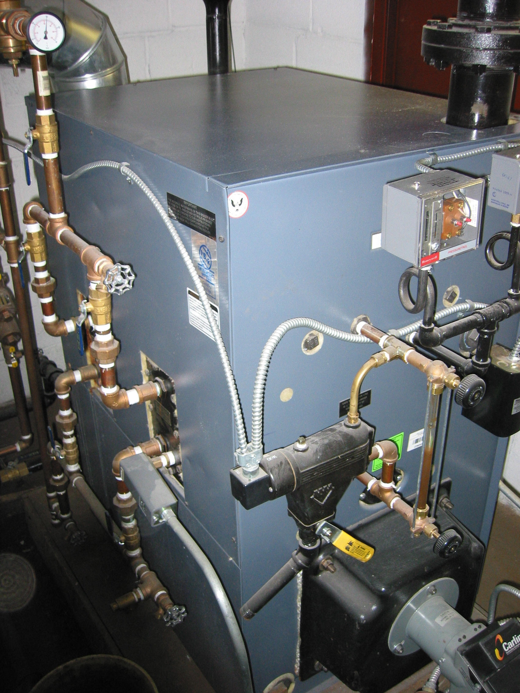 Steam_with_Coils1.jpg